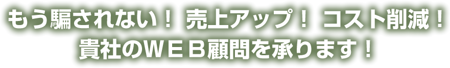 もう騙されない！ 売上アップ！ コスト削減！貴社のＷＥＢ顧問を承ります！