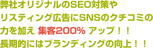 弊社オリジナルのSEO対策やリスティング広告にSNSのクチコミの力を加え 集客200％ アップ！！長期的にはブランディングの向上！！